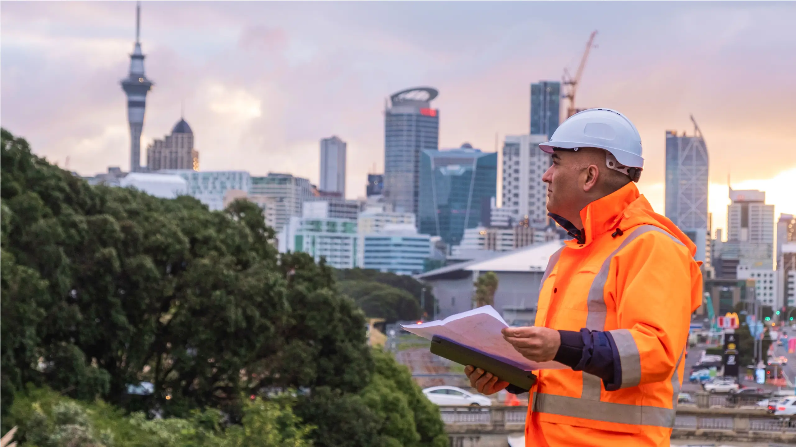 Image description unavailable