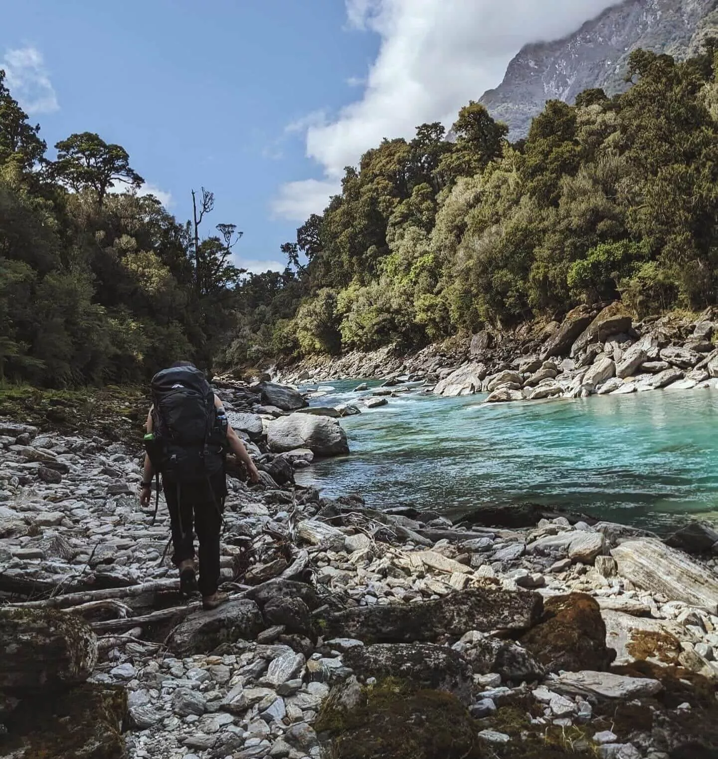 Image description unavailable