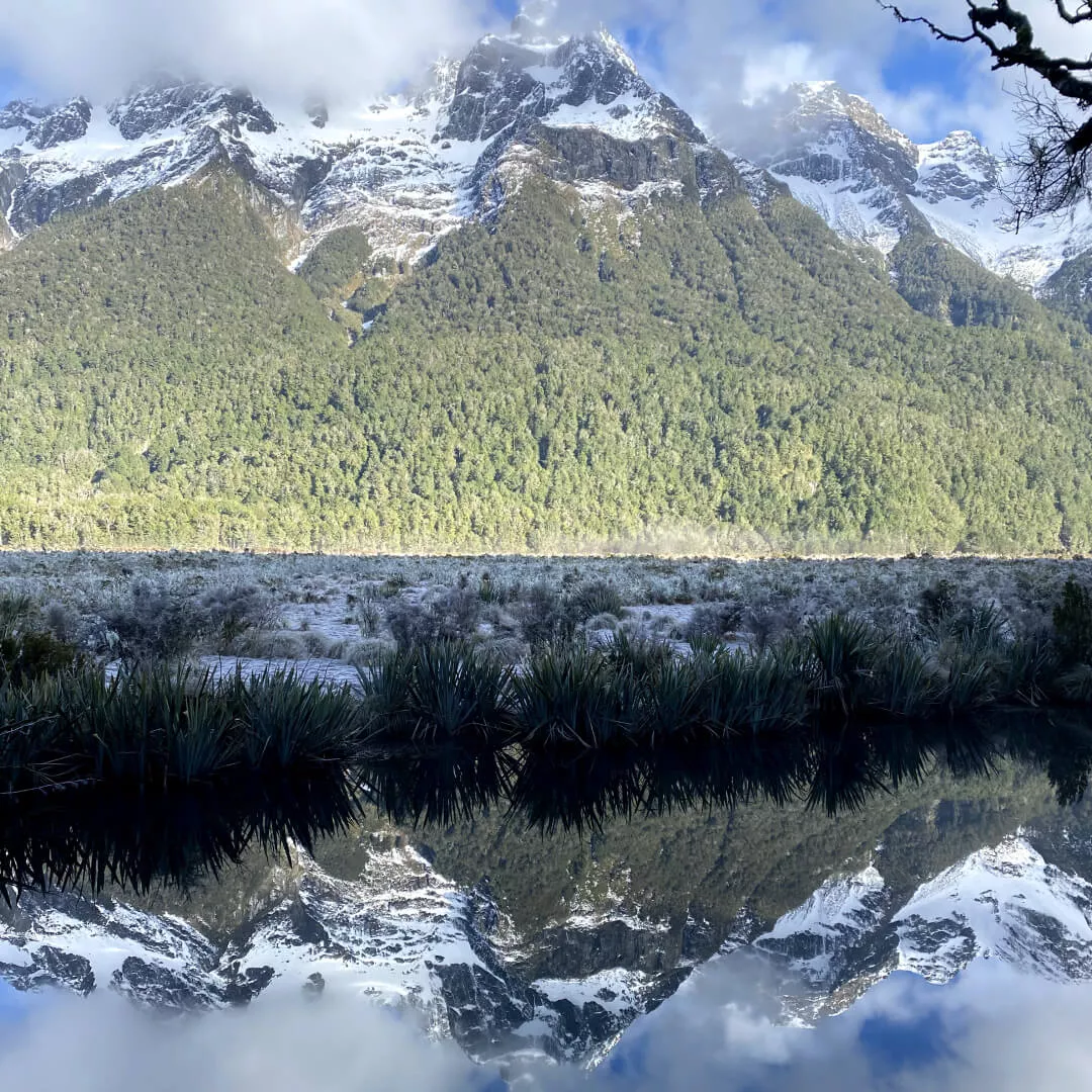 Image description unavailable