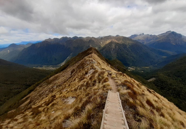 Image description unavailable