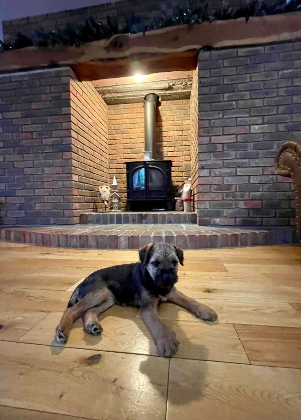 Image description unavailable