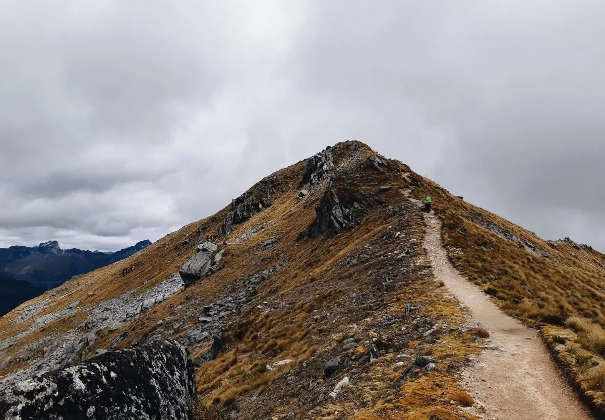 Image description unavailable