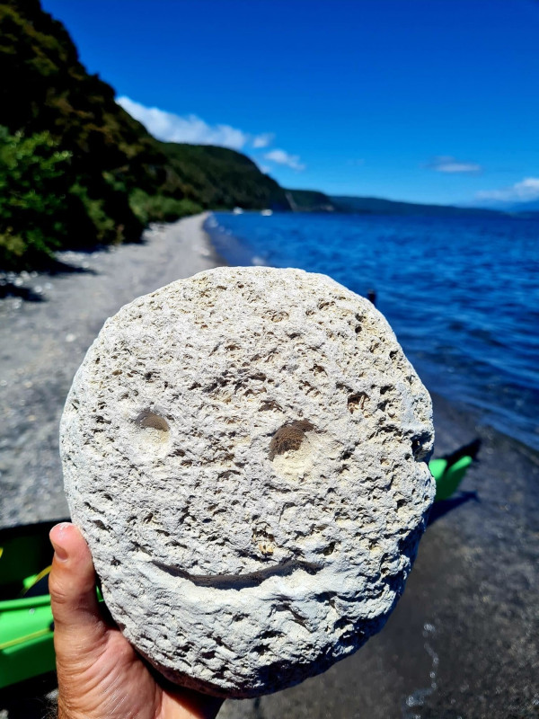 Image description unavailable