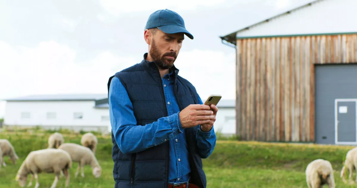 Image description unavailable