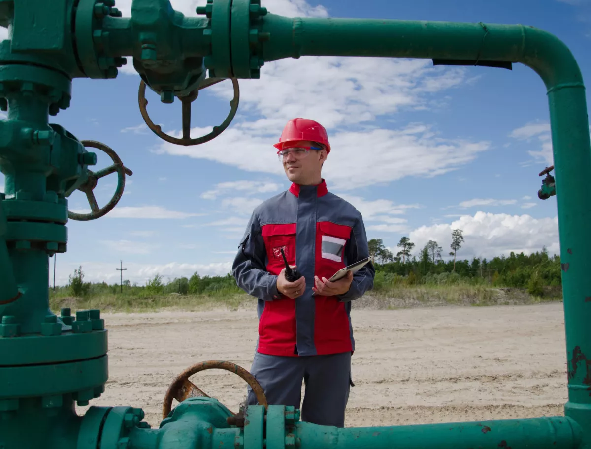 Image description unavailable