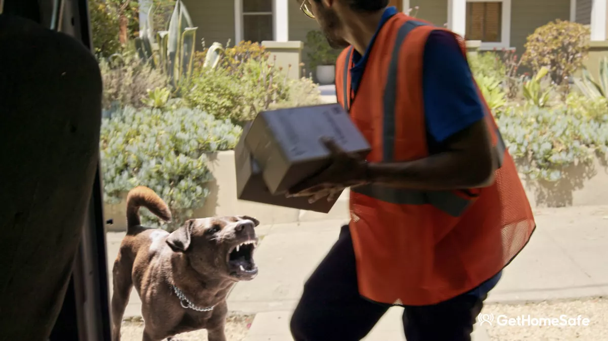 Image description unavailable