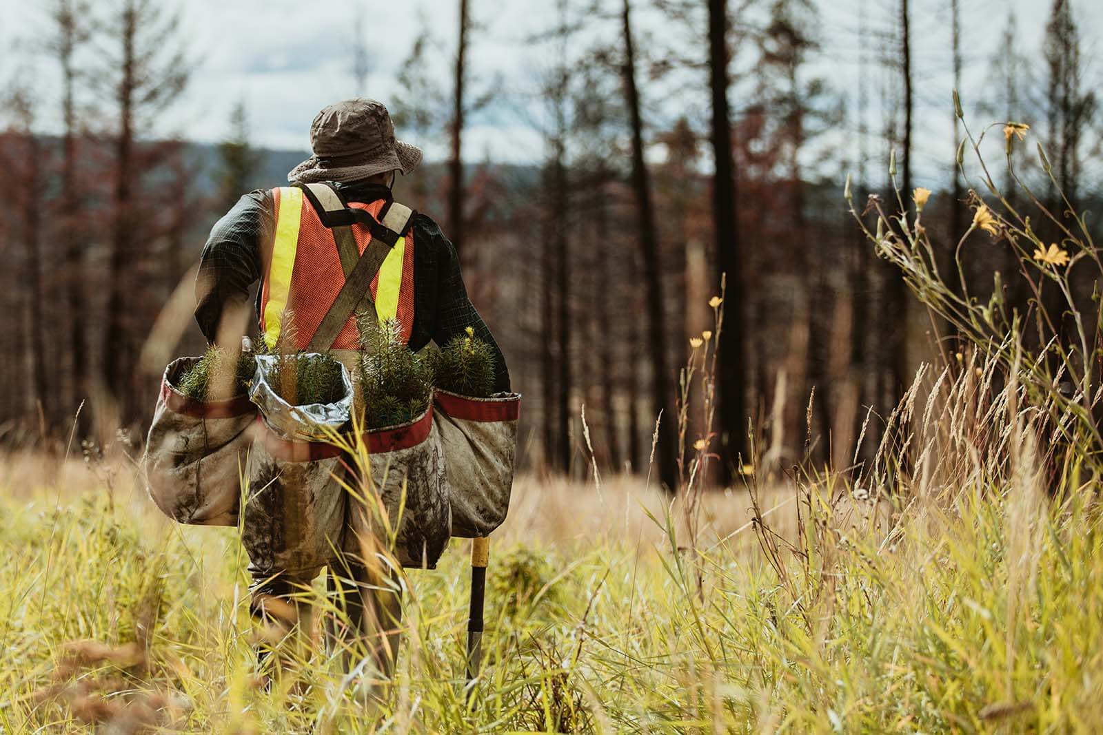 Image description unavailable