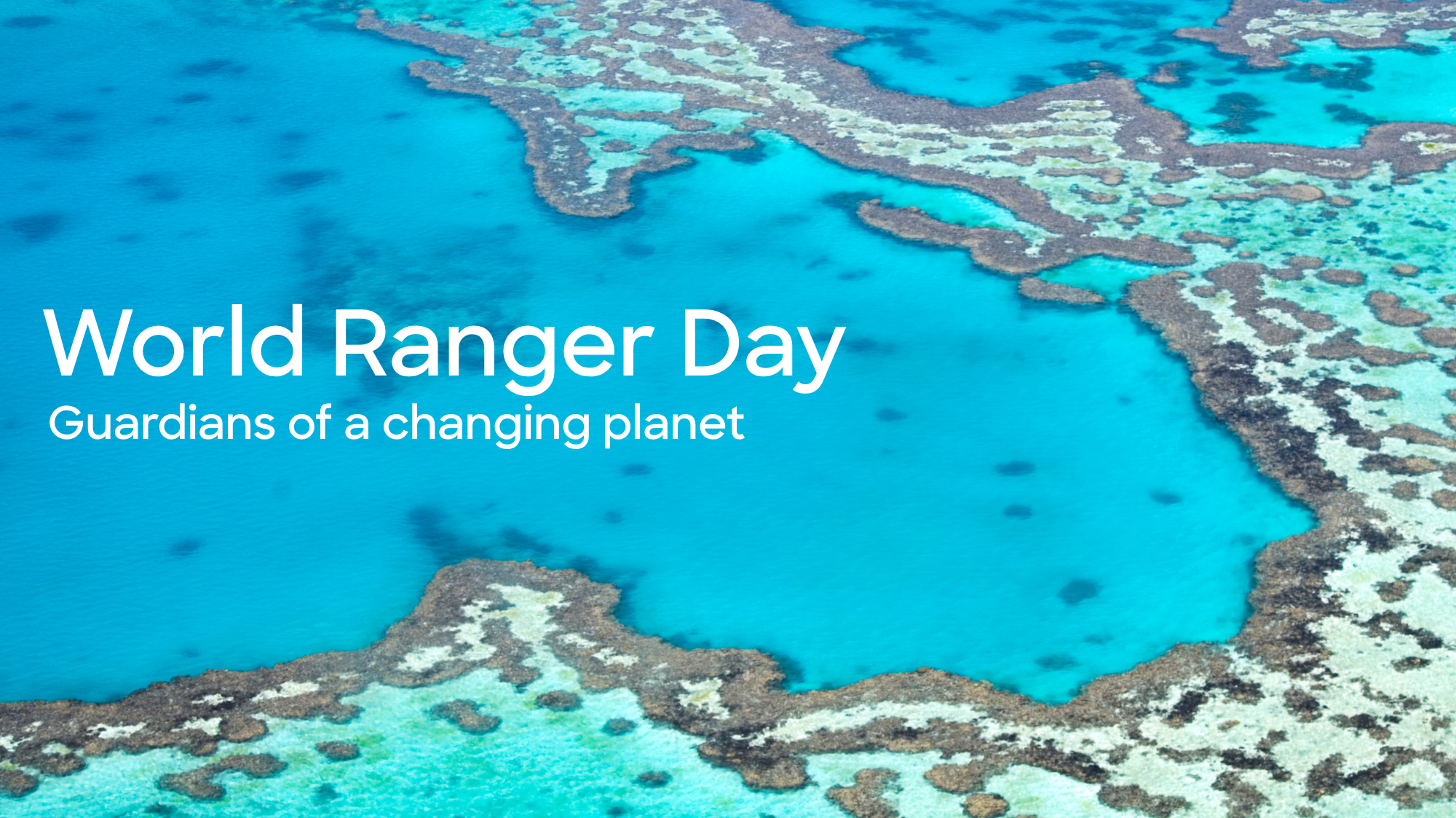 Remote Worker Safety: How Do Rangers and Field Teams Get Home Safe? 