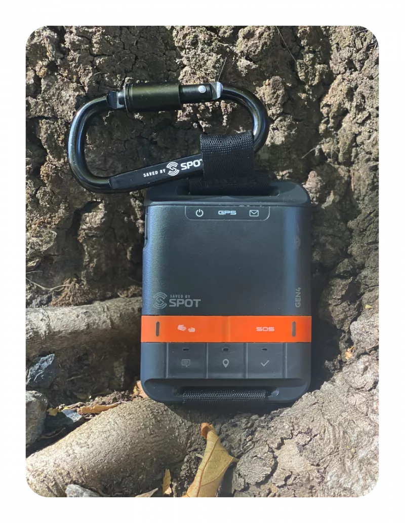 Image description unavailable