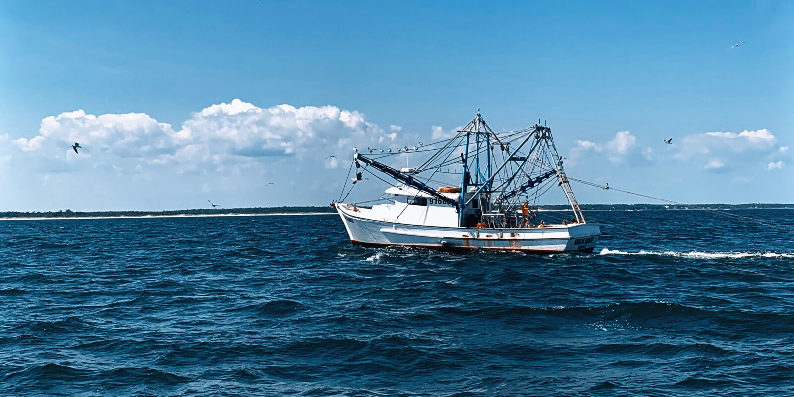 Image description unavailable