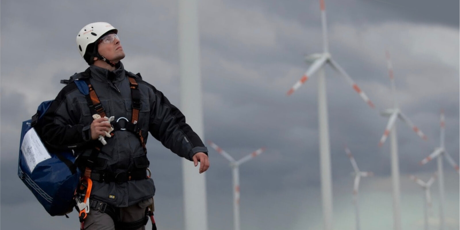 Image description unavailable