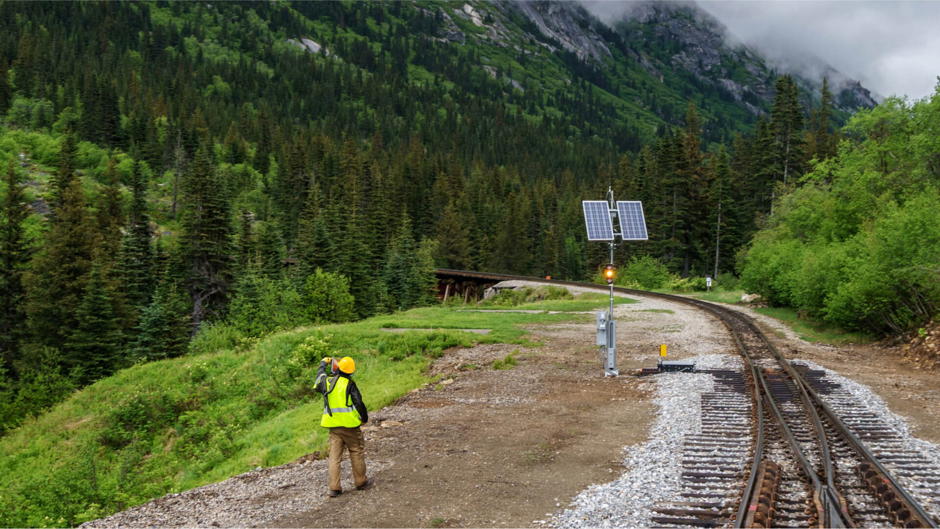 Image description unavailable