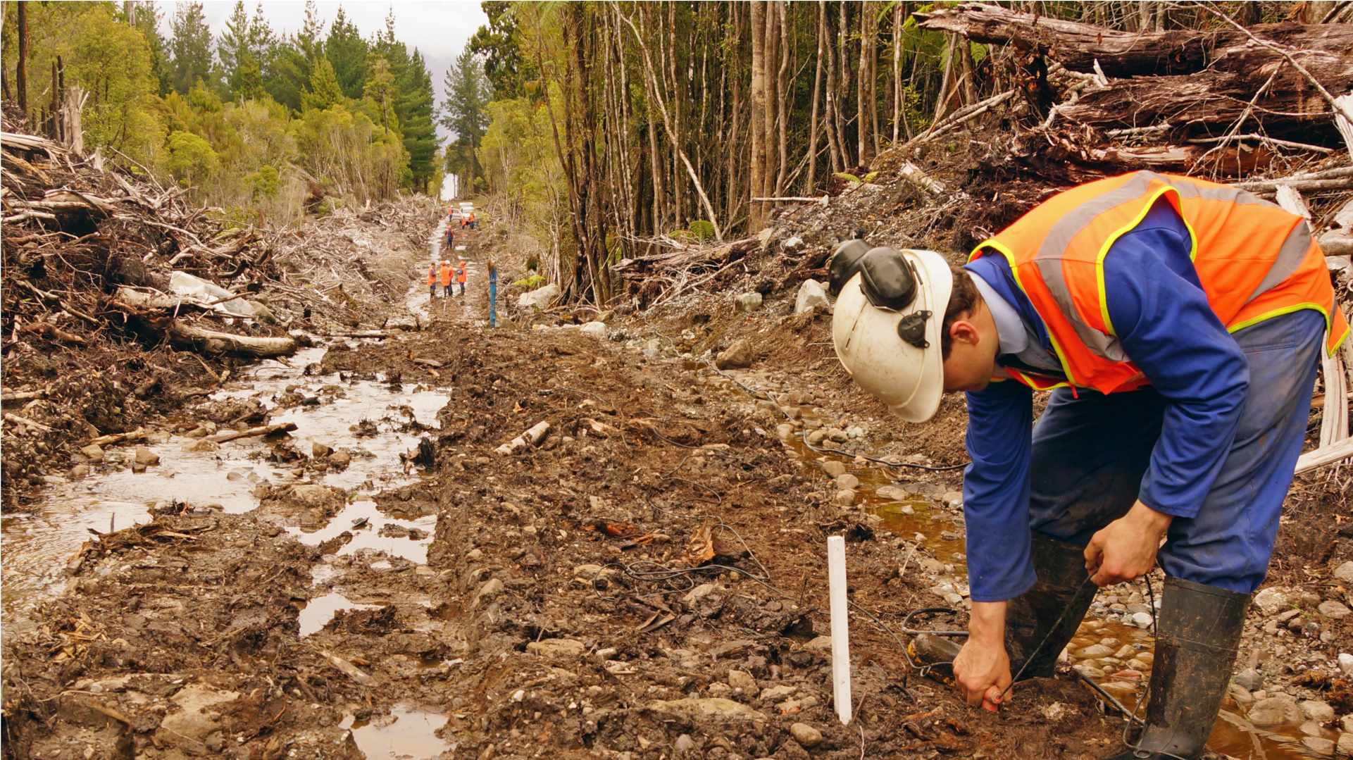 Image description unavailable